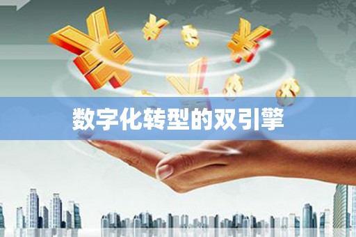 顺昌数字化转型的双引擎