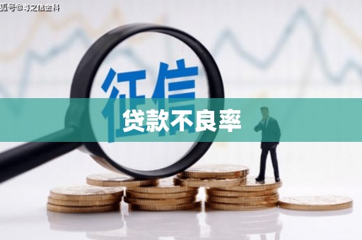 顺昌贷款不良率