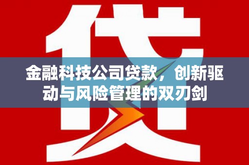 顺昌金融科技公司贷款，创新驱动与风险管理的双刃剑